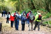 Orienteering 170x113