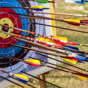 Super Crowded Archery Target