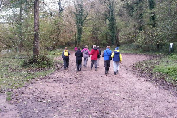Orienteering
