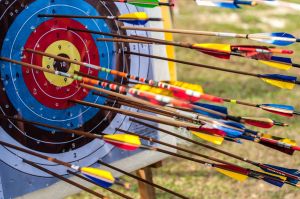 Super Crowded Archery Target