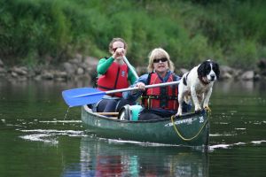 Canoeing the river wye with a dog