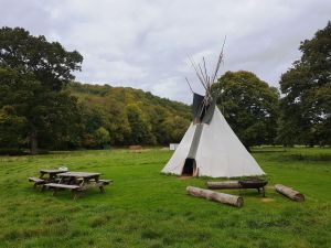 Tipi site