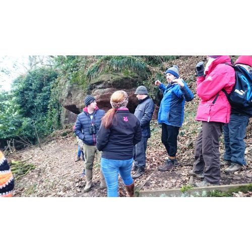 Taking in the scenery on a Guided walk