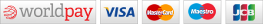 we accept: visa, mastercard, maestro, JCB